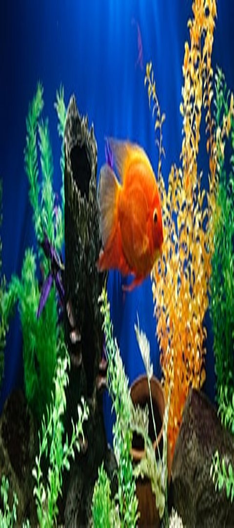 Aquascaping Roter Fisch im Aquascaping